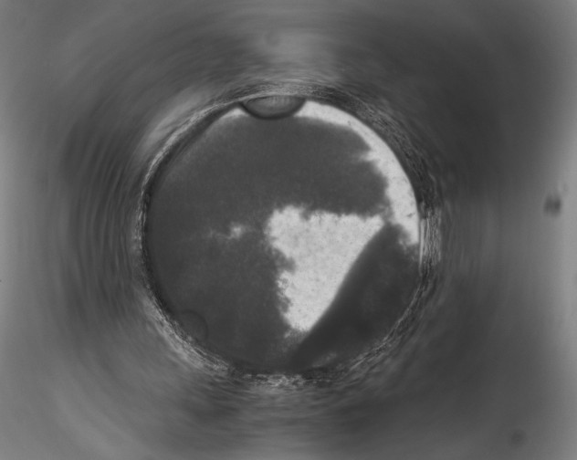 X0000114410243200911271533