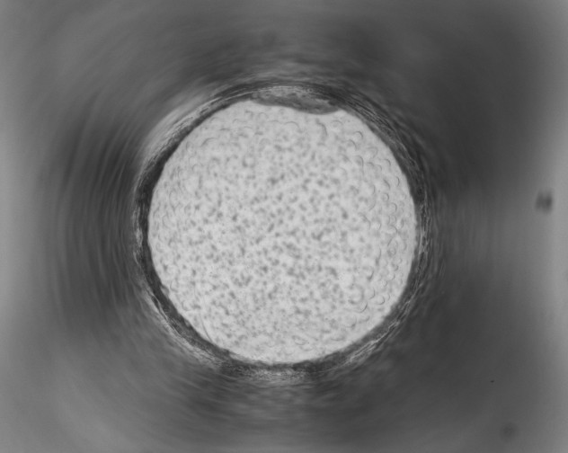 X0000114410245200911271533