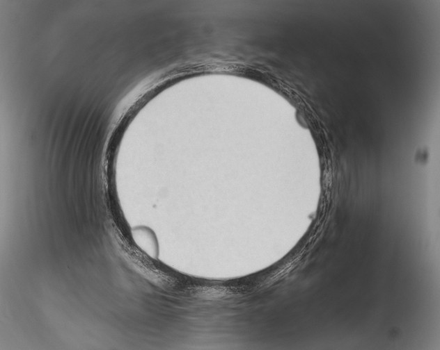 X0000114410246200911271533