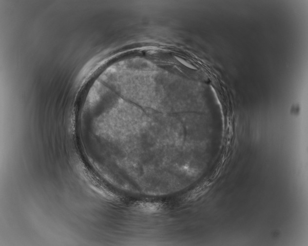 X0000114410247200911271533