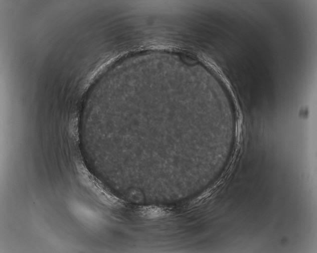 X0000114410249200911271533