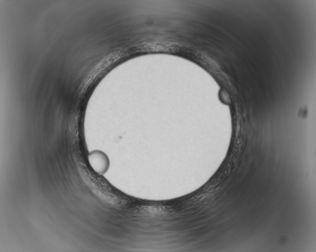 X0000114410250200911271533