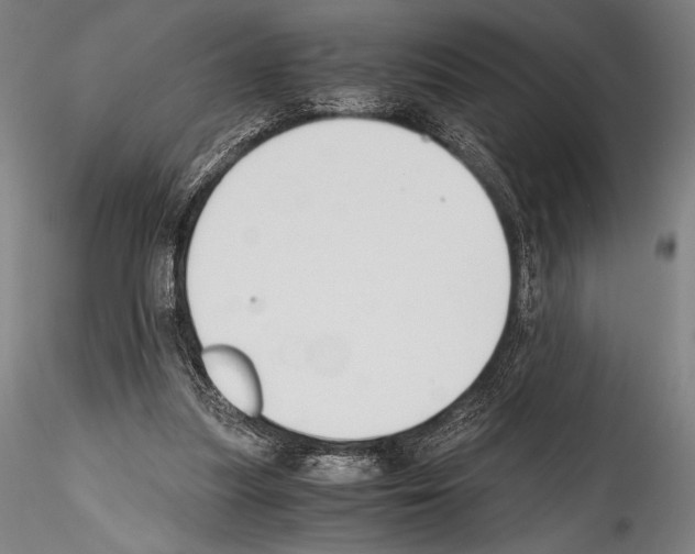 X0000114410251200911271533