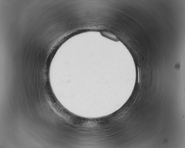 X0000114410252200911271533