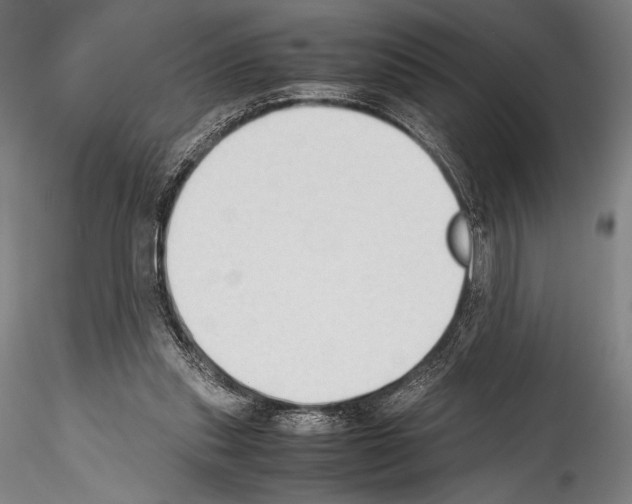 X0000114410253200911271533