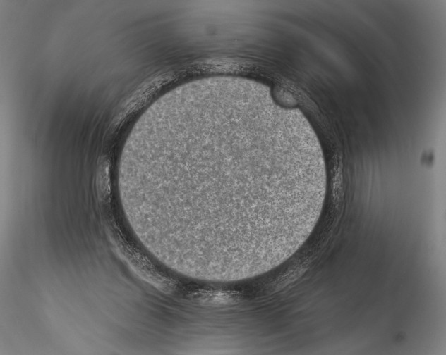 X0000114410254200911271533