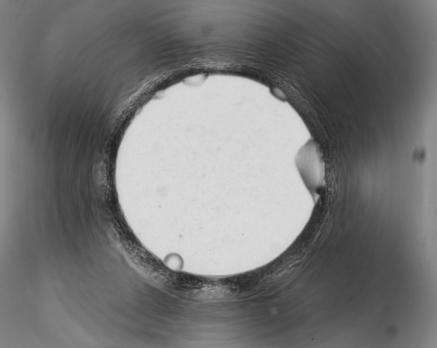 X0000114410256200911271533