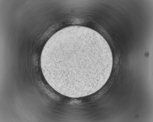 X0000114410257200911271533