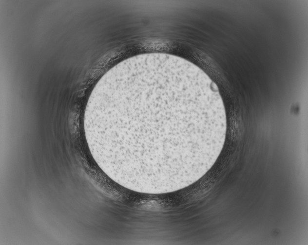 X0000114410259200911271533