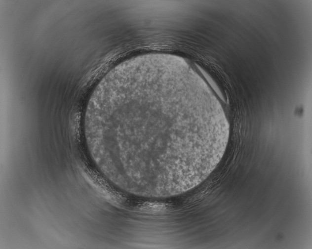 X0000114410260200911271533