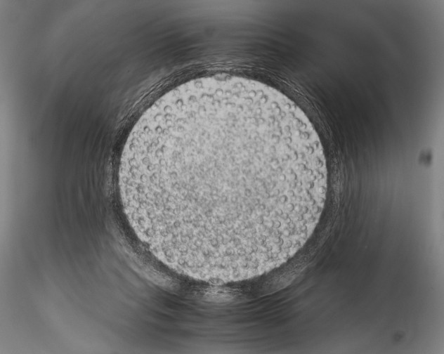 X0000114410261200911271533