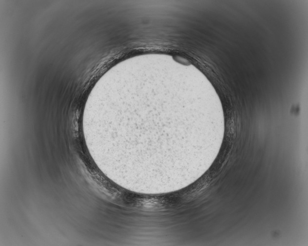 X0000114410264200911271533