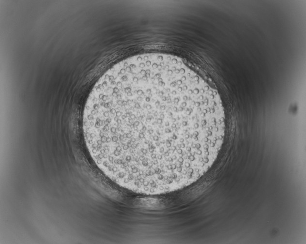 X0000114410265200911271533