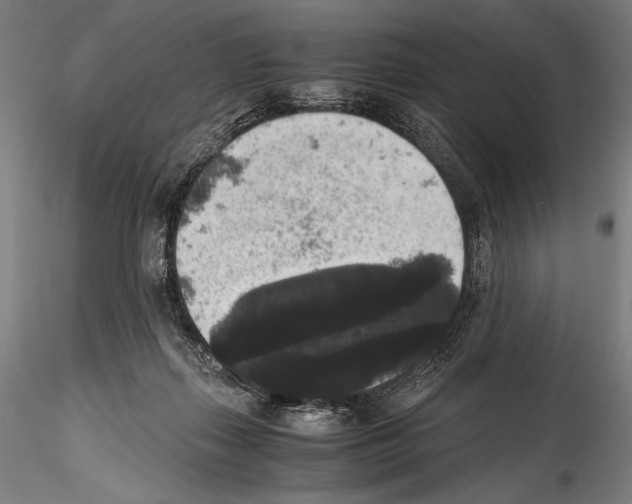 X0000114410267200911271533