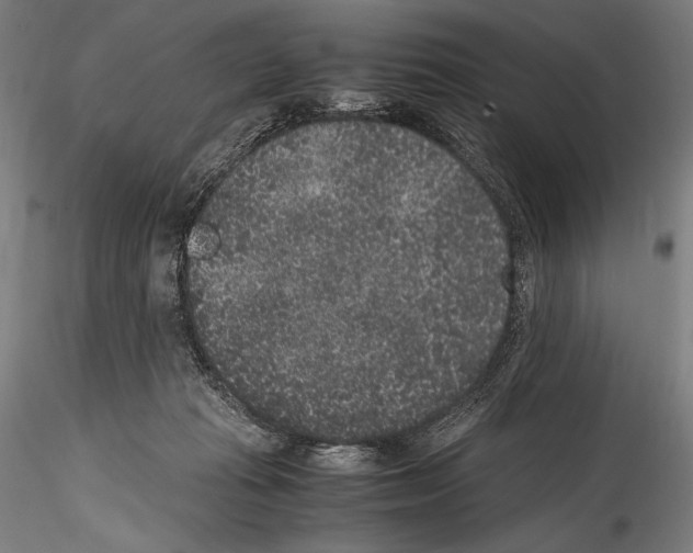 X0000114410269200911271533