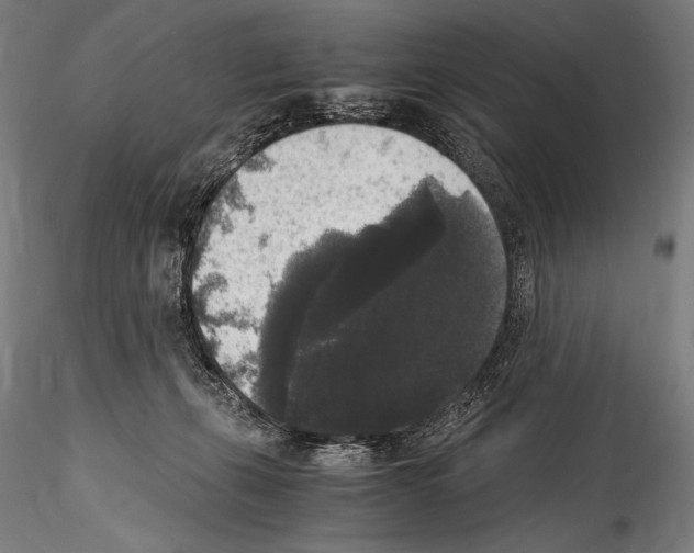 X0000114410271200911271533