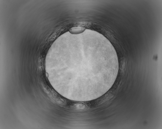 X0000114410272200911271533