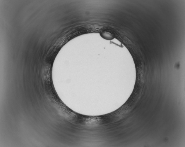 X0000114410274200911271533