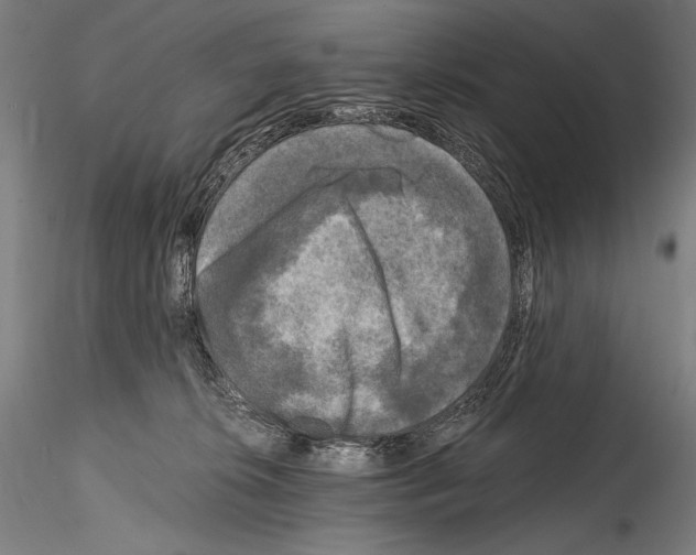 X0000114410276200911271533