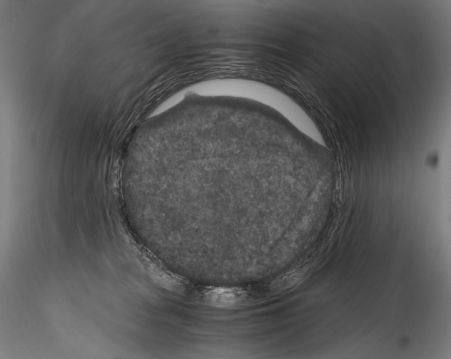 X0000114410277200911271533