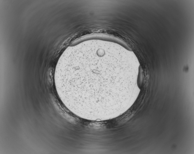 X0000114410280200911271533