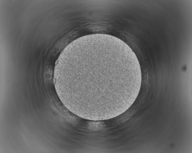 X0000114410281200911271533