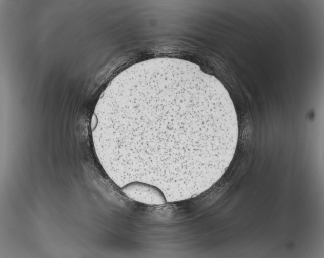 X0000114410282200911271533