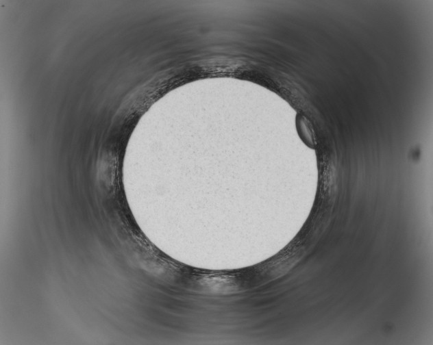 X0000114410283200911271533