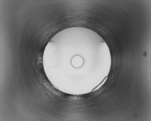 X0000114410284200911271533