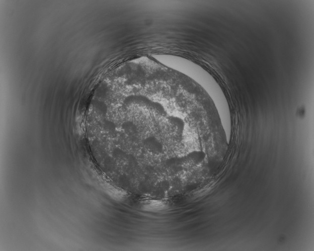 X0000114410285200911271533