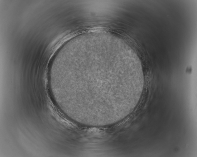 X0000114410290200911271533