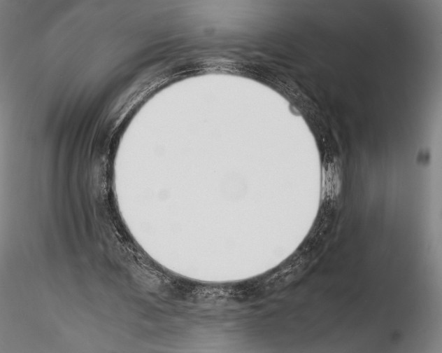 X0000114410291200911271533