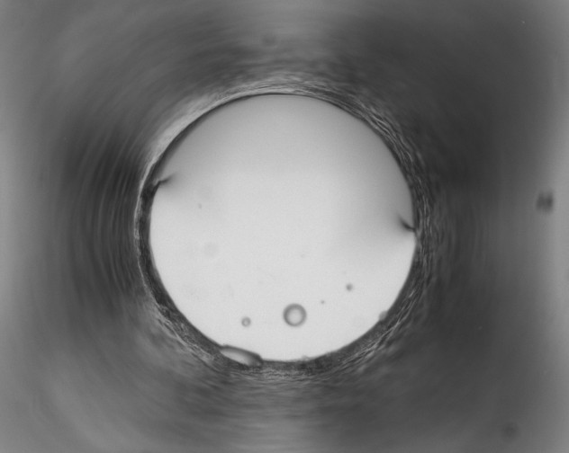 X0000114410292200911271533