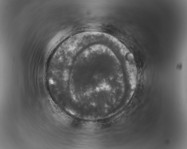 X0000114410293200911271533