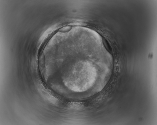 X0000114410296200911271533