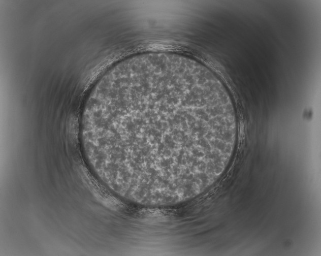 X0000114410297200911271533