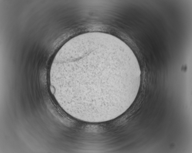 X0000114410298200911271533