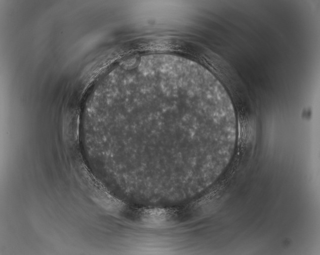 X0000114410301200911271532