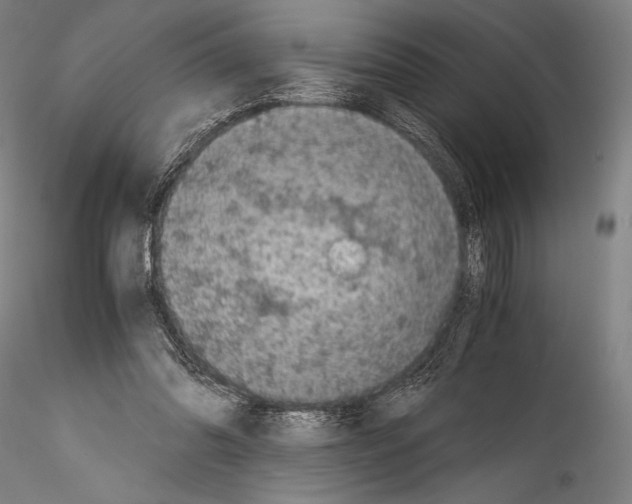 X0000114410302200911271532