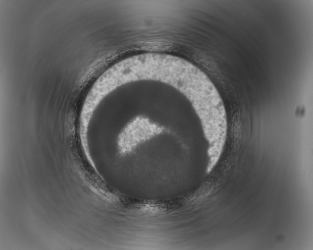 X0000114410303200911271532