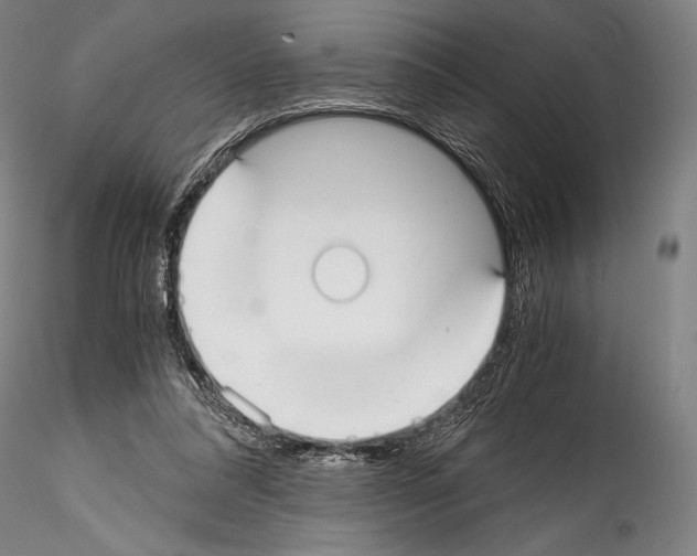 X0000114410304200911271532