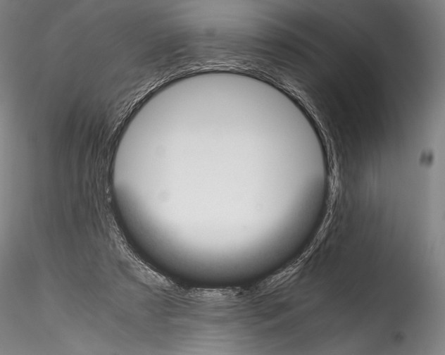 X0000114410305200911271532