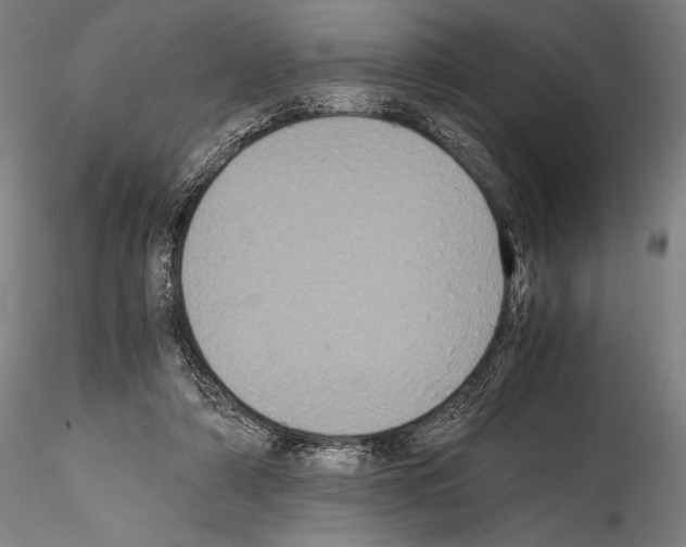 X0000114410306200911271532