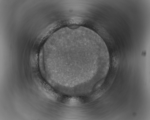 X0000114410308200911271532