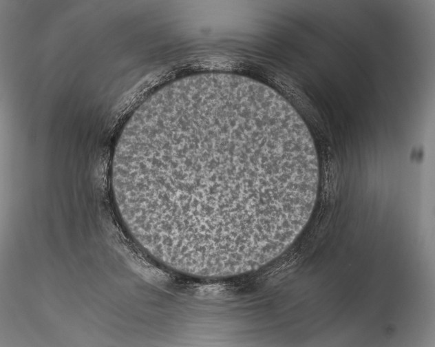 X0000114410309200911271532