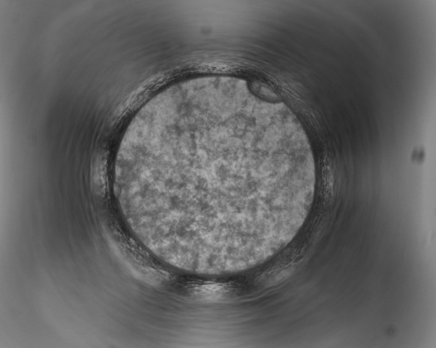 X0000114410312200911271532