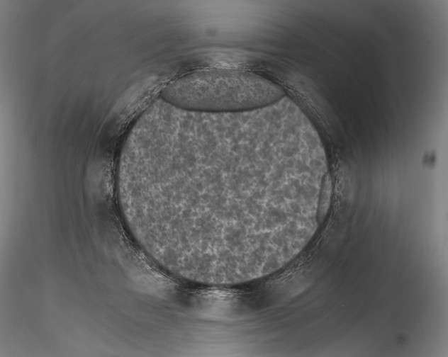 X0000114410313200911271532