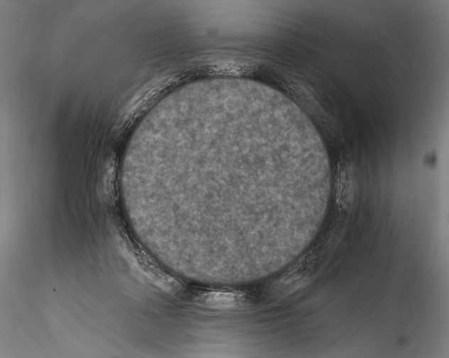 X0000114410314200911271532