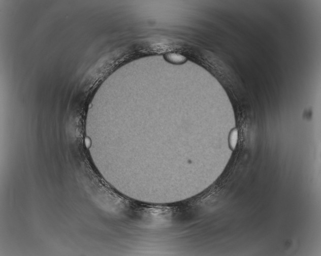 X0000114410317200911271532