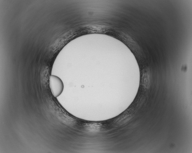 X0000114410318200911271532